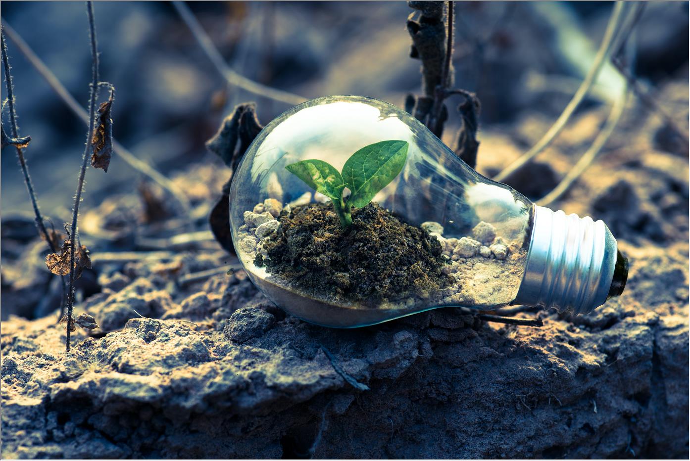 建筑項目的最新趨勢是什么?